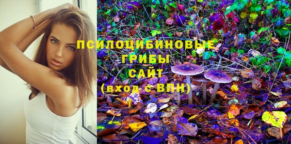 ешки Алексеевка