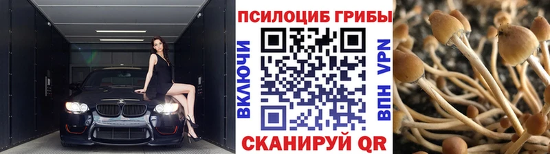 где найти   Бокситогорск  Псилоцибиновые грибы MAGIC MUSHROOMS 